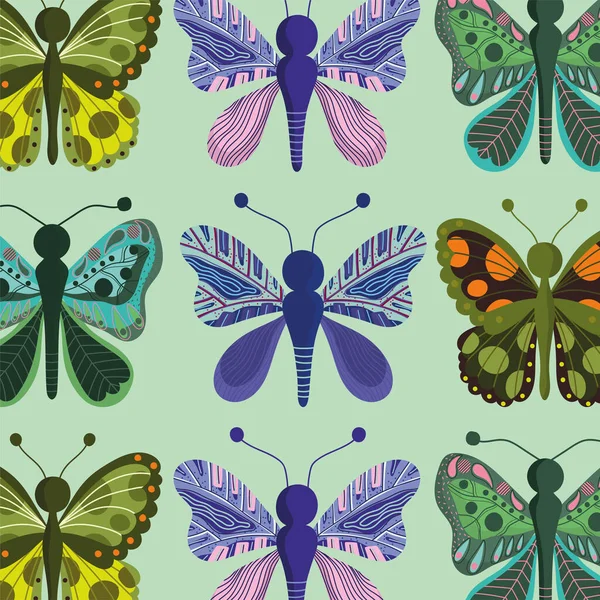 Papillons différents coloré insecte nature décoration fond — Image vectorielle