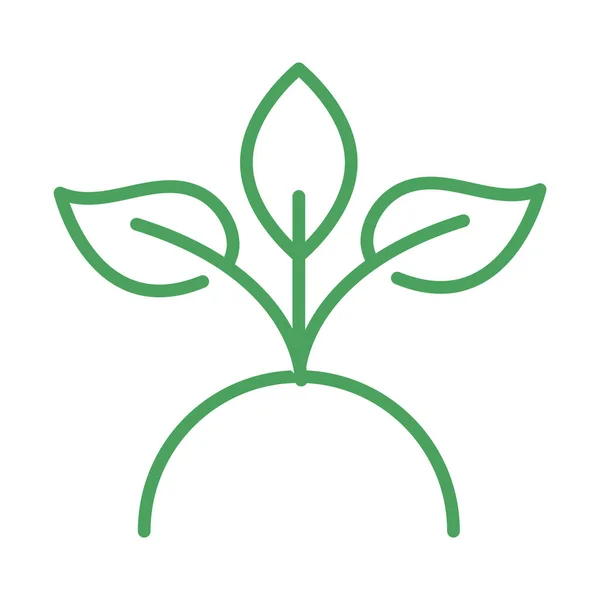 Органические природные, листья растений зеленые линии стиль — стоковый вектор
