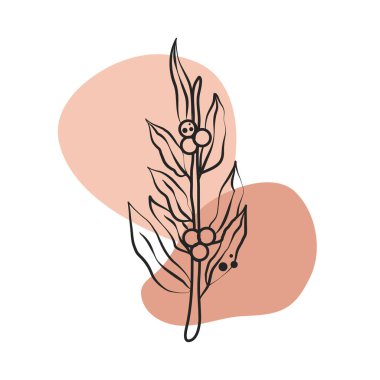 bitki meyve yaprakları yeşillik doğa çizgisi renkli benekli