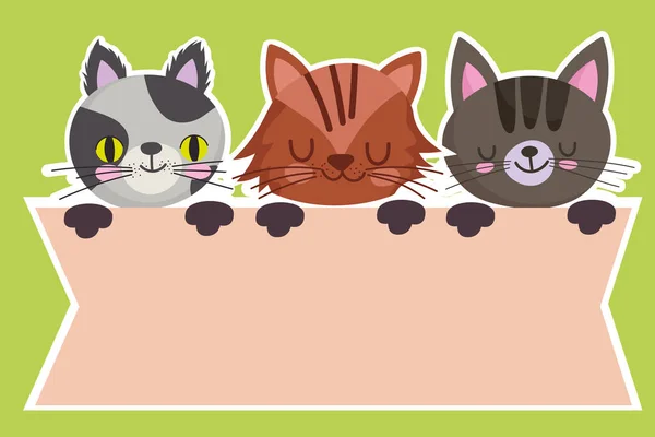 Mascotas dibujos animados gatos felinos animales domésticos banner diseño — Vector de stock
