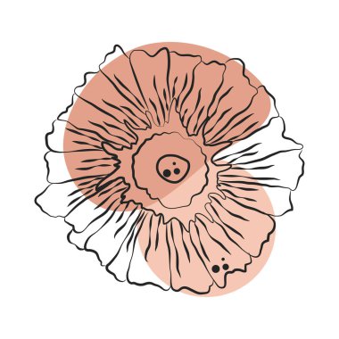 Renkli desenli narin çiçek dekoru.