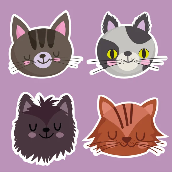 Mascotas iconos conjunto gatos felino mascota animal, caras animales dibujos animados — Vector de stock