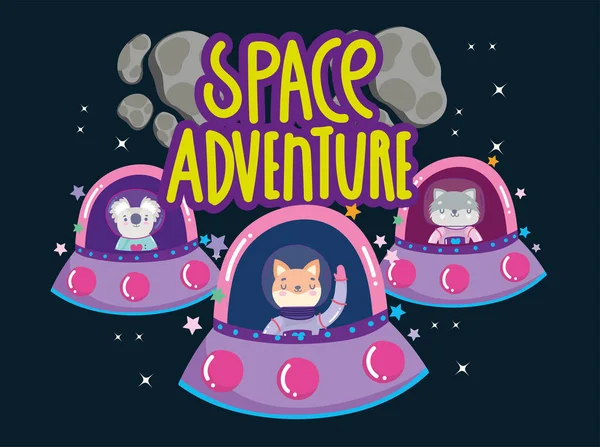 Astronaute spatial chat koala et raton laveur aventure spatiale explorer dessin animé animal — Image vectorielle