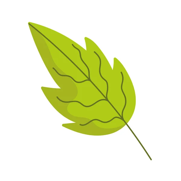 Liści ekologia liści ikona kreskówki izolowany styl — Wektor stockowy