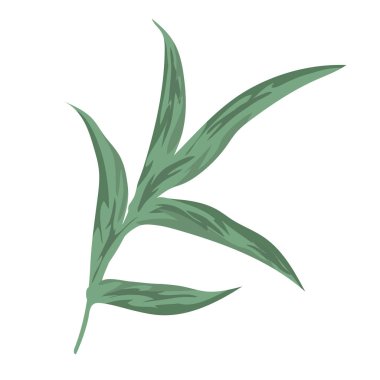 dal yaprağı doğası botanik dekorasyon izole edilmiş tasarım