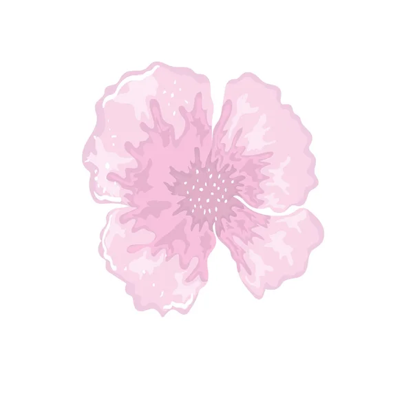 Fleur délicate peinture florale design isolé — Image vectorielle