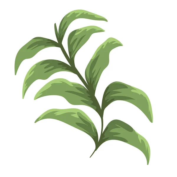 Rama follaje planta naturaleza decoración pintura diseño aislado — Vector de stock