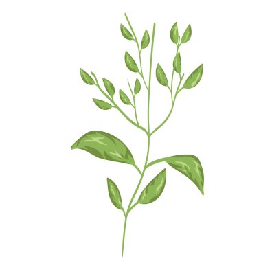 dal yaprakları botanik doğa dekorasyonu izole edilmiş tasarım