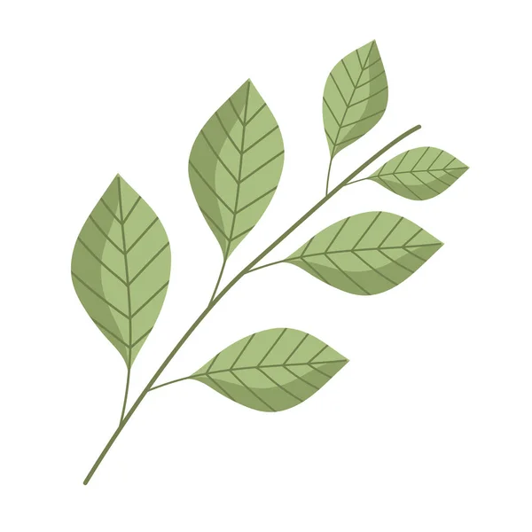 가지 잎 식물의 자연 장식 만화 아이콘외진 스타일 — 스톡 벡터