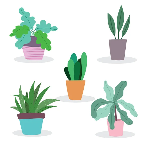 Set of plants on pot gardening decoration cartoon flat isolated style — Stock Vector