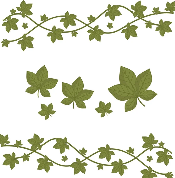 Leaves foliage nature organic decoration border white background — Stock Vector