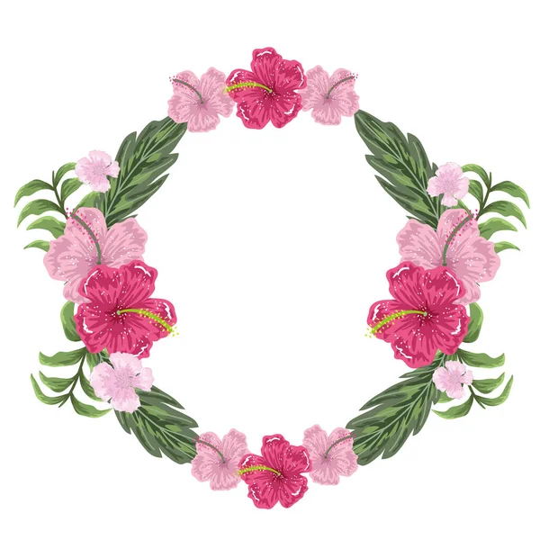 Bloemen hibiscus exotische decoratie ronde frame, schilderen ontwerp — Stockvector