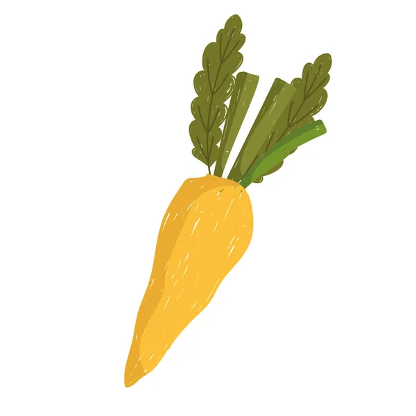 Carota fresco vegetale salute cibo icona bianco sfondo cartone animato stile — Vettoriale Stock