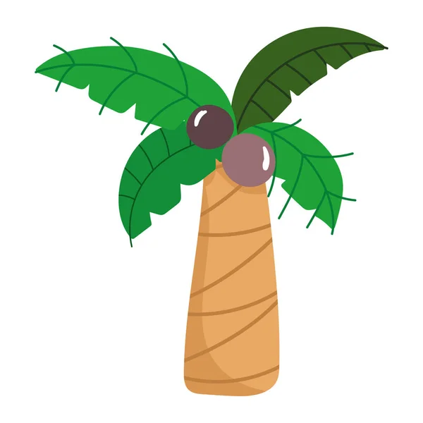 Tropical palm coconut cartoon icon isolated design — Stock Vector