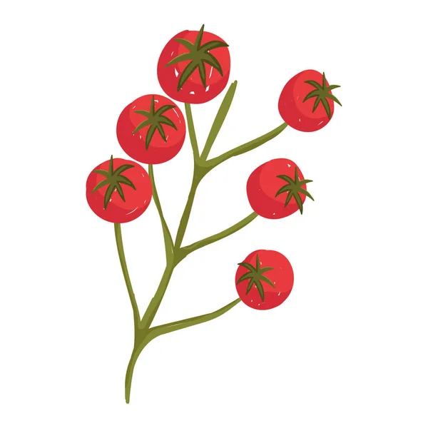 Tomaten in tak verse groenten gezondheid voedsel pictogram witte achtergrond — Stockvector