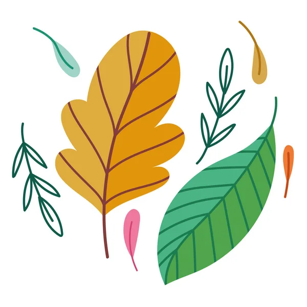 Leaves foliage ecological and nature foliage cartoon — Stock Vector