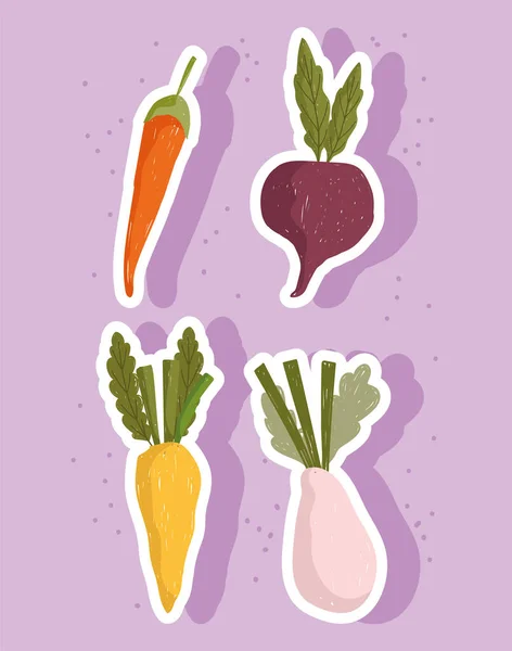 蔬菜、新鲜食物、胡萝卜、洋葱和甜菜图标 — 图库矢量图片