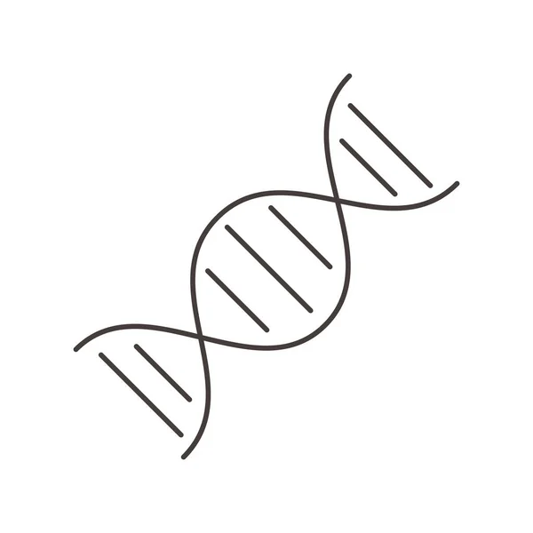 Chimica genetica DNA molecola scienza linea stile — Vettoriale Stock