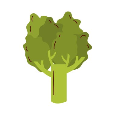 brokoli sebze ikonu vektör tasarımı