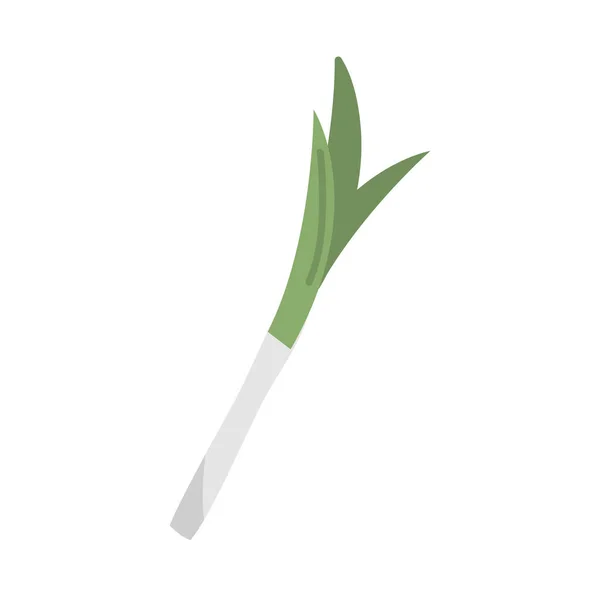 Desenho vetor ícone vegetal alho-poró — Vetor de Stock