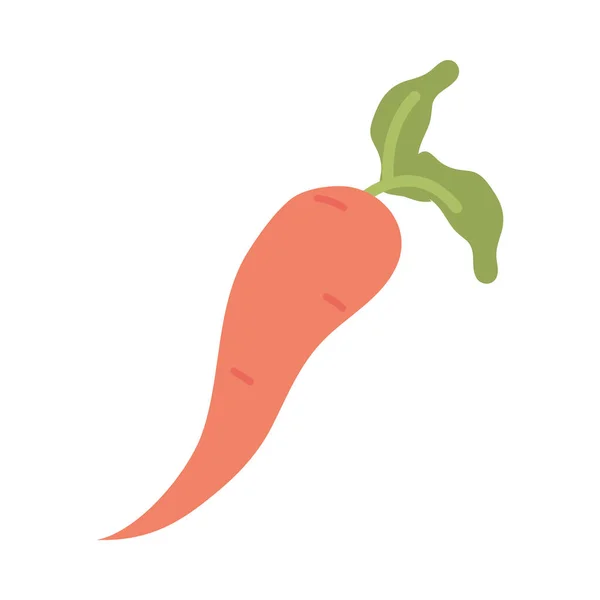 Zanahoria vegetal icono vector de diseño — Vector de stock