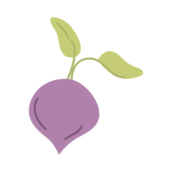 Radish vegetable icon vector design — Stock Vector