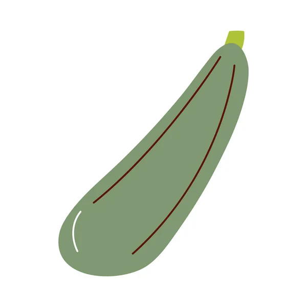 Desenho do vetor do ícone vegetal do pepino — Vetor de Stock