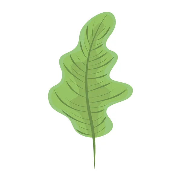 Tropical leaf exotic foliage icon flat design — Stock Vector