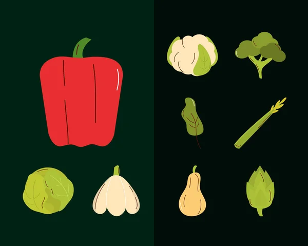 Návrh vektoru kolekce ikon zeleniny — Stockový vektor