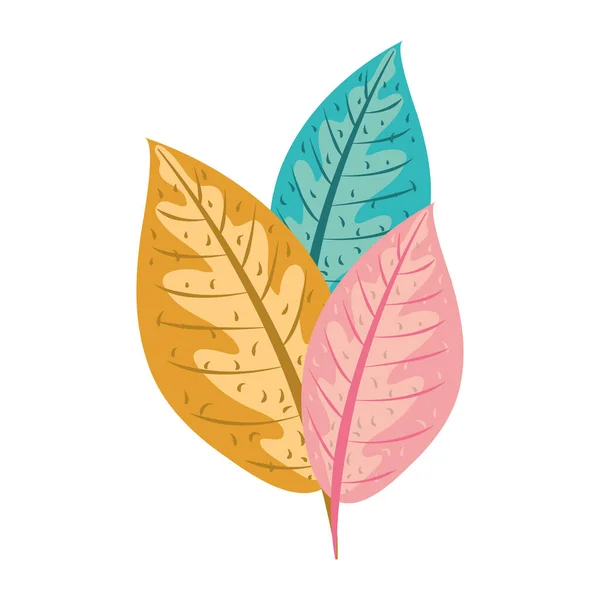 Tropical leaf foliage natural decoration icon flat design — Stock Vector