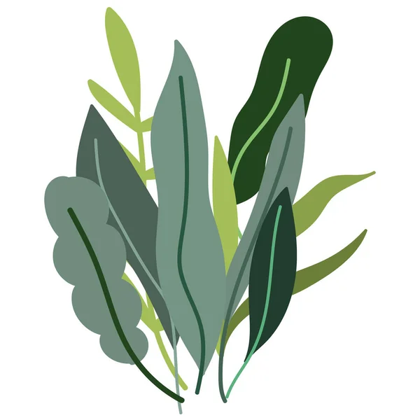 植物性植物性漫画白背景 — ストックベクタ