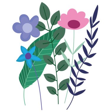 Çiçekler bitki örtüsü, bitki örtüsü, beyaz arka plan.