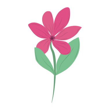 çiçek doğası çiçek ikon vektörü