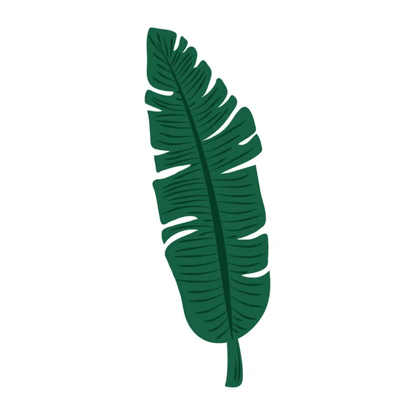 Feuille tropicale feuille plante style abstrait icône — Image vectorielle