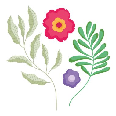 çiçek dalı beyaz arkaplan bırakır