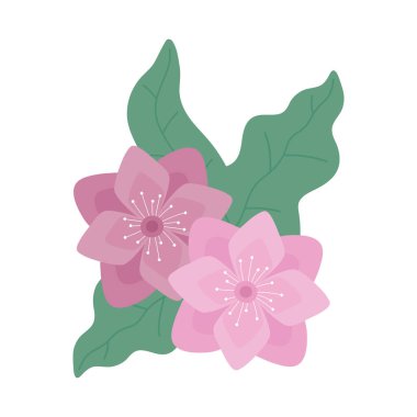 Pembe çiçekler botanik beyaz arkaplan bırakır