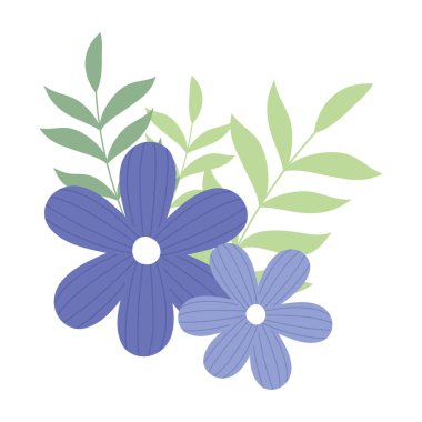 mor çiçekler dalları beyaz arkaplan