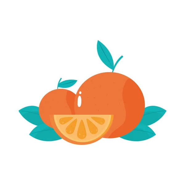 Ganze und in Scheiben geschnittene Orangen Zitrusfrüchte gesunde Mahlzeit — Stockvektor