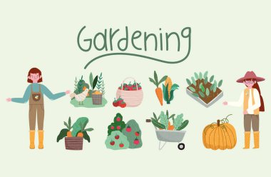 Bahçıvan kız bahçıvan. El arabası sebze yetiştiriyor.