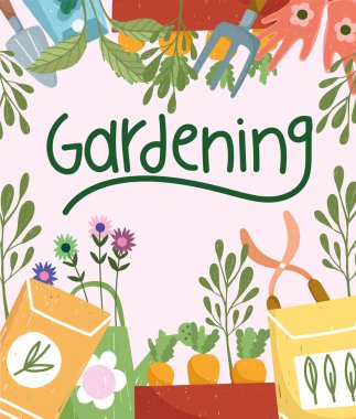 Bahçe tohumları havuç, tohum, makas, çiçek, doğa, el, renk.