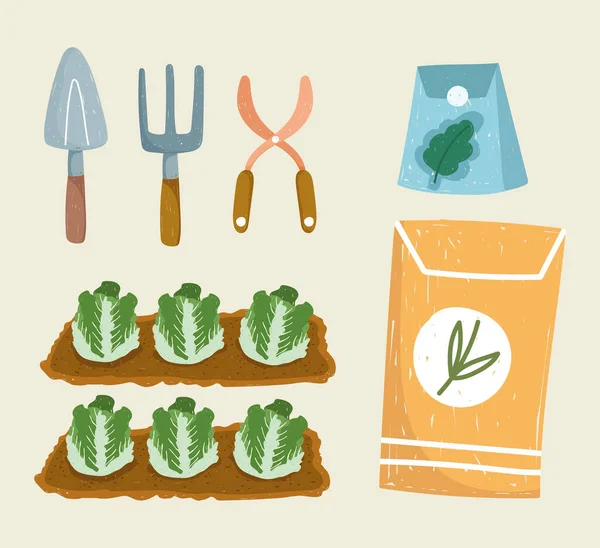 Repolho de jardinagem embala sementes e ferramentas ancinho e espátula, cor desenhada à mão — Vetor de Stock