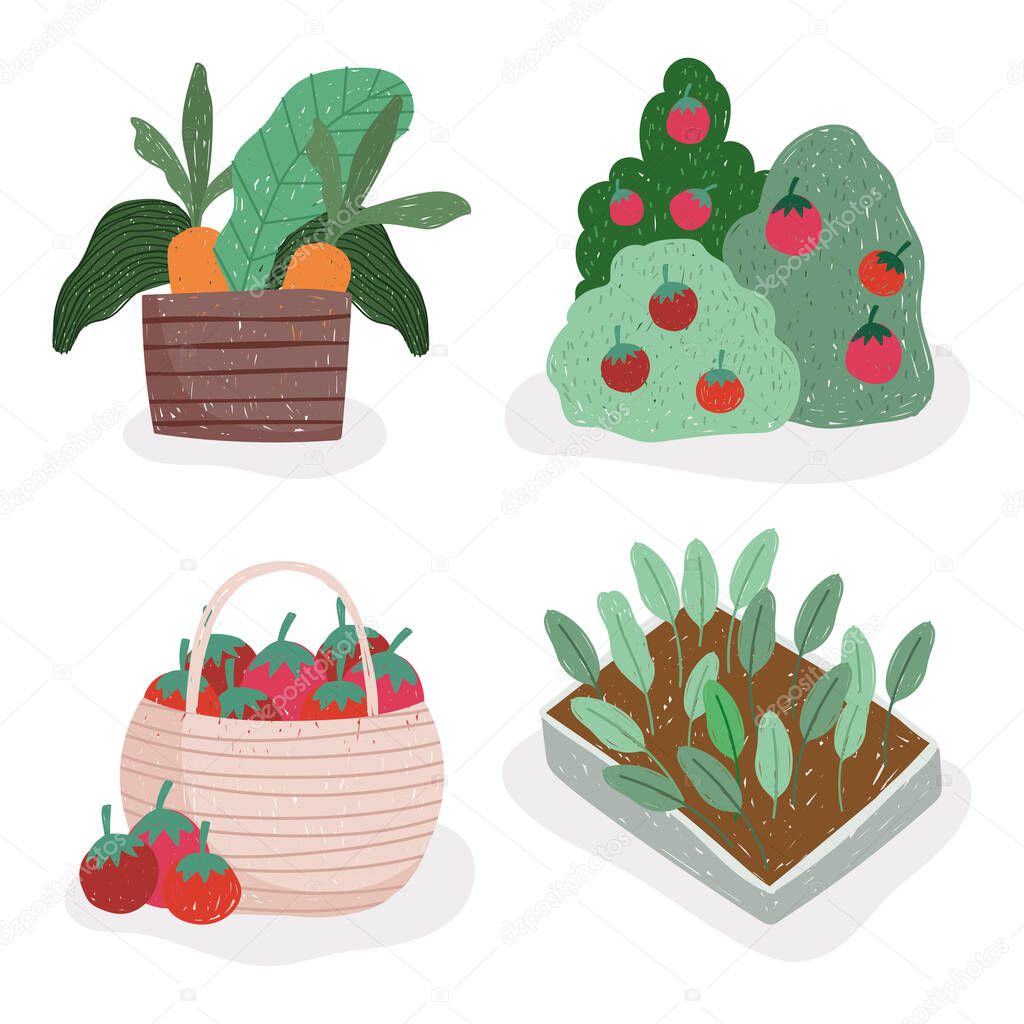gardening and agriculture tomatoes carrots and plants