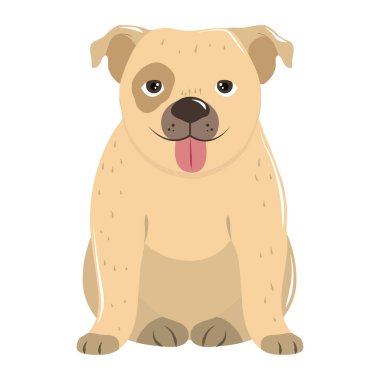 Beyaz arka planda oturan sevimli bir köpek.