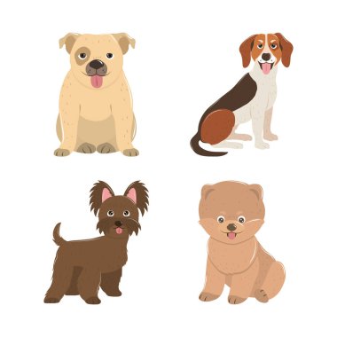 evcil köpekler köpek yavrusu küçük hayvanlar evcil köpek