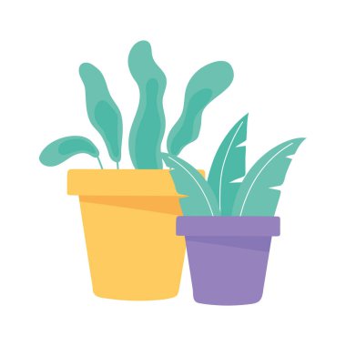 Saksı bitkilerinin iç dekorasyonu