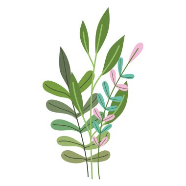 Yeşillik doğası ayrık beyaz arkaplan bırakır