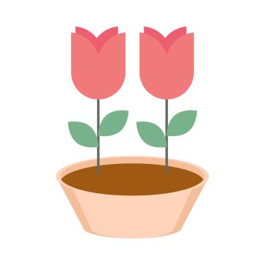 Bahçe çiçekleri beyaz arkaplanda doğal simge