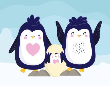 Çift penguen yumurtası