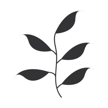 yapraklar bitki örtüsü