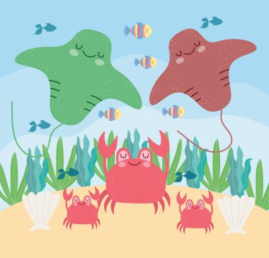 Suyun altındaki iğneli yengeçler